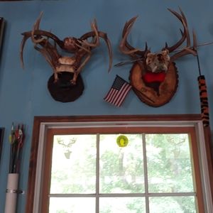 Meet your Posher, Javier